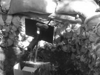 /album/fotogalerie/sdc17303-jpg/